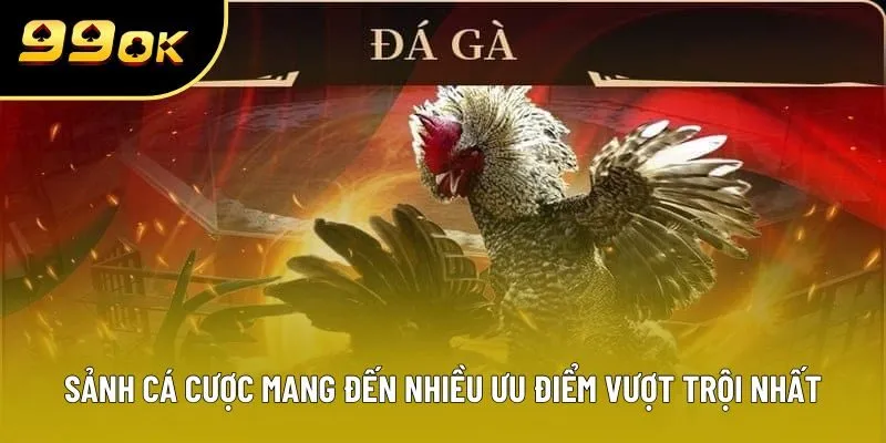 Sảnh cá cược mang đến nhiều ưu điểm vượt trội nhất