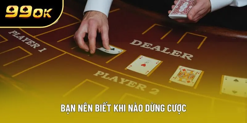 Bạn nên biết khi nào dừng cược