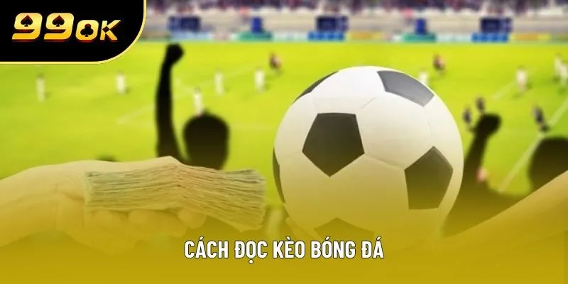 Cách Đọc Kèo Bóng Đá: 3 Loại Cơ Bản Nhất Mà Ai Cũng Nên Biết