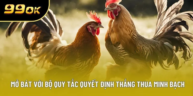 Mở bát với bộ quy tắc quyết định thắng thua minh bạch