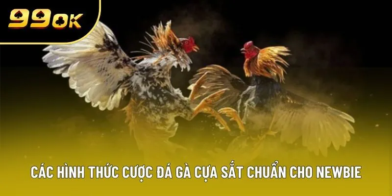 Tổng hợp các hình thức cược đá gà cựa sắt chuẩn cho newbie