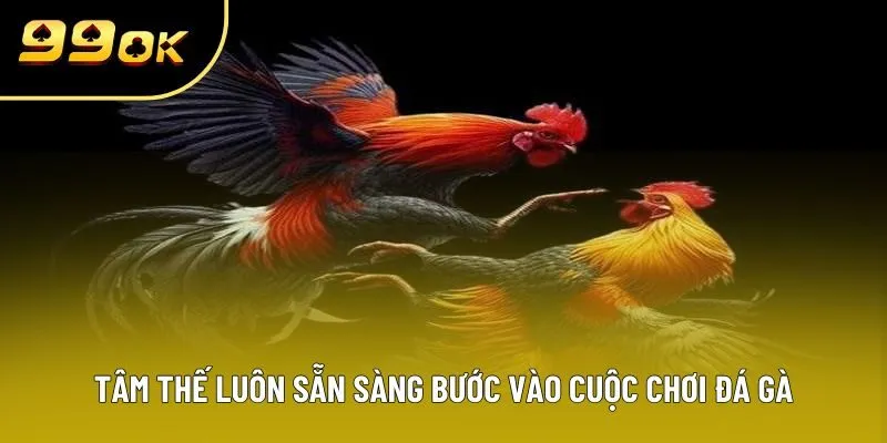 Tâm thế luôn sẵn sàng bước vào cuộc chơi đá gà Tâm thế luôn sẵn sàng bước vào cuộc chơi đá gà