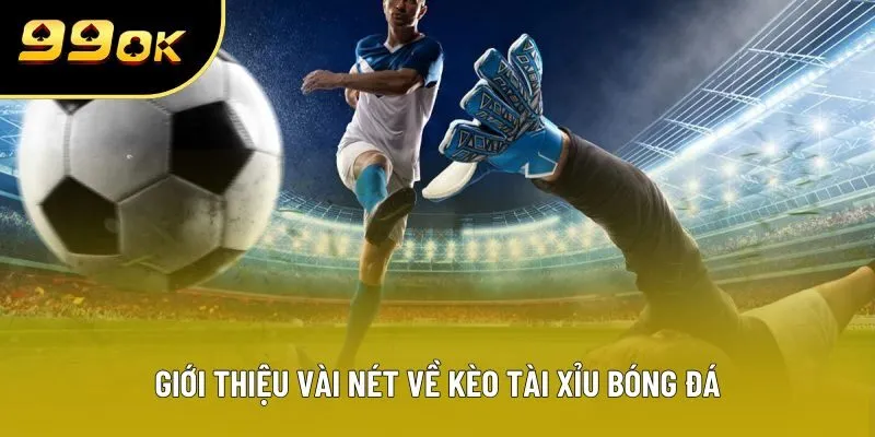 Giới thiệu vài nét về kèo tài xỉu bóng đá