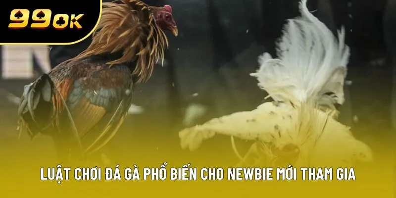 Chi tiết các luật chơi đá gà phổ biến cho newbie mới tham gia Chi tiết các luật chơi đá gà phổ biến cho newbie mới tham gia