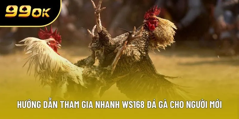 Hướng dẫn tham gia nhanh WS168 đá gà cho người mới Hướng dẫn tham gia nhanh WS168 đá gà cho người mới
