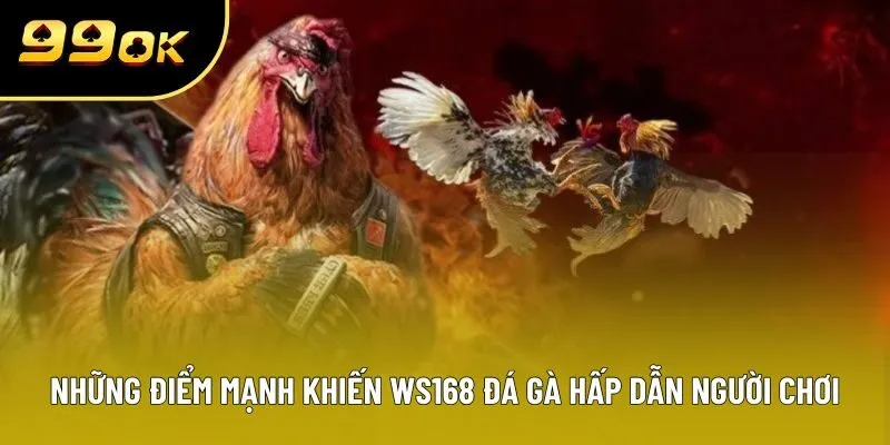 Những điểm mạnh khiến WS168 đá gà hấp dẫn người chơi Những điểm mạnh khiến WS168 đá gà hấp dẫn người chơi